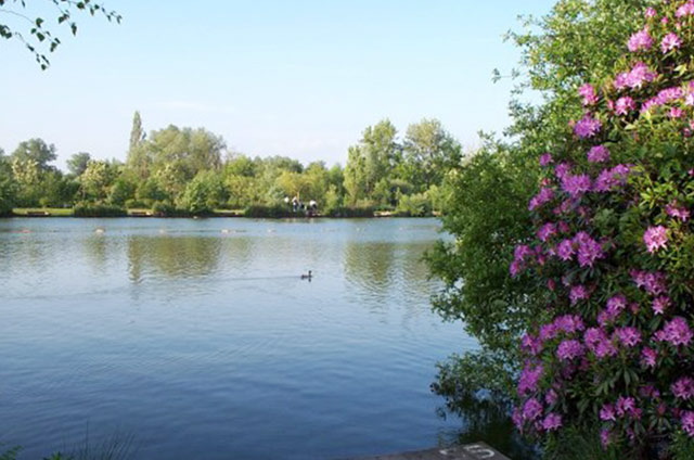 Middle Lake, pictured on Drennan International's venue guide