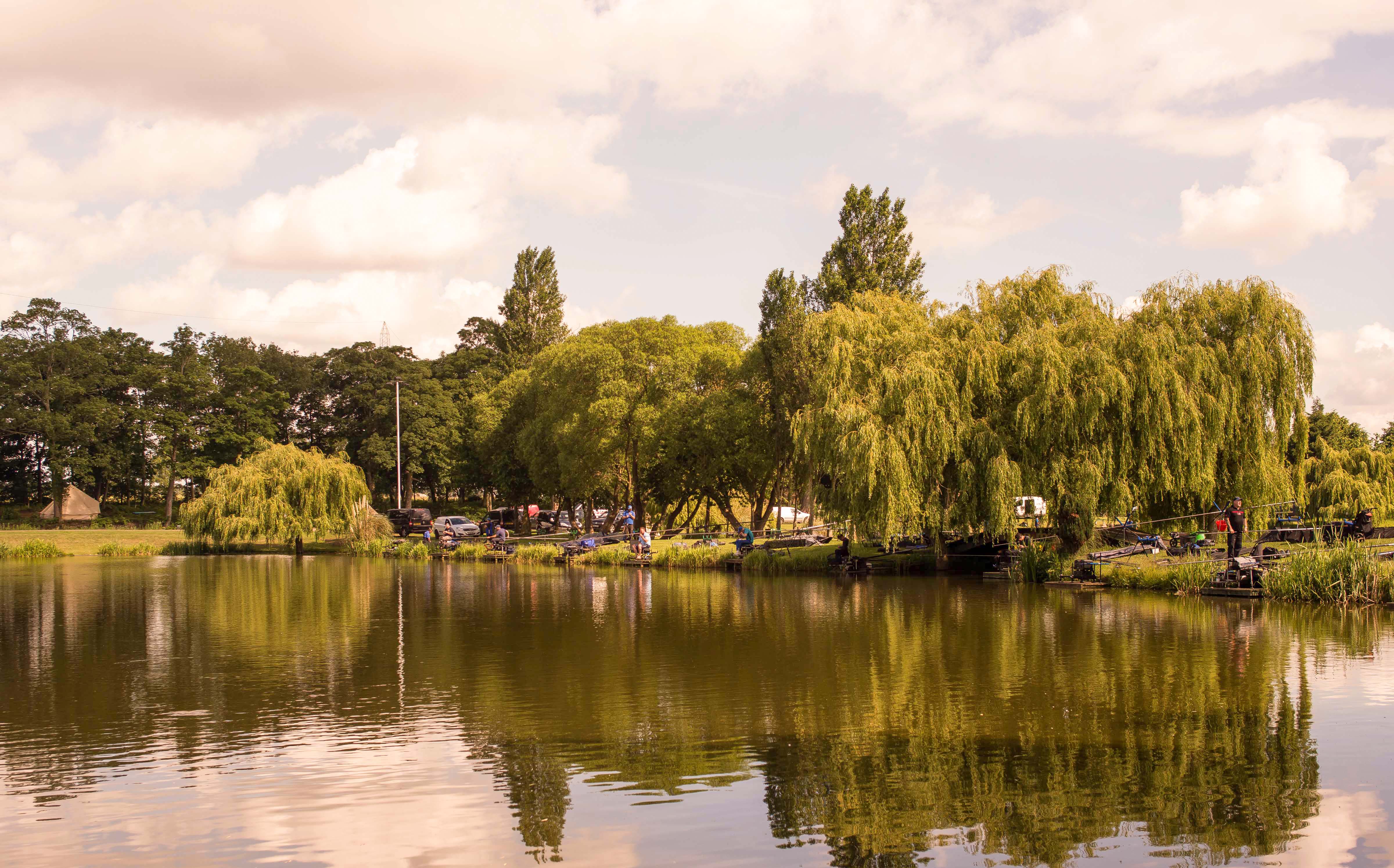 Hayfield Lakes bankside, from the fishery's own site