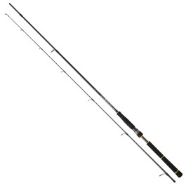 Daiwa BG Seabass Rods