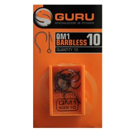 Guru QM1 — photo 1